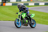 cadwell-no-limits-trackday;cadwell-park;cadwell-park-photographs;cadwell-trackday-photographs;enduro-digital-images;event-digital-images;eventdigitalimages;no-limits-trackdays;peter-wileman-photography;racing-digital-images;trackday-digital-images;trackday-photos